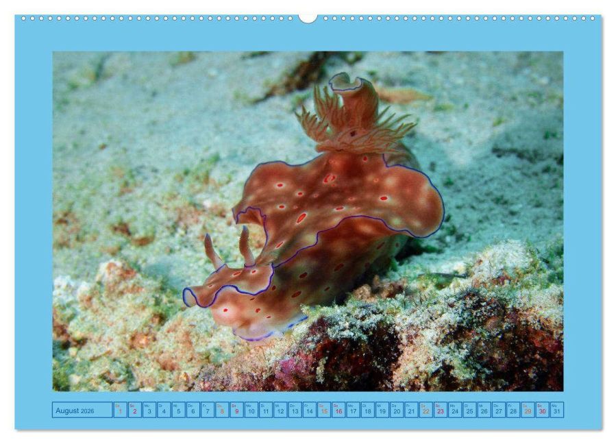 InsideView 12