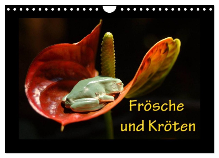 Frösche und Kröten (Wandkalender 2026 DIN A4 quer), CALVENDO Monatskalender - 