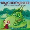 Drachenmeister 14: Das Land des Frühlingsdrachen - Tracey West