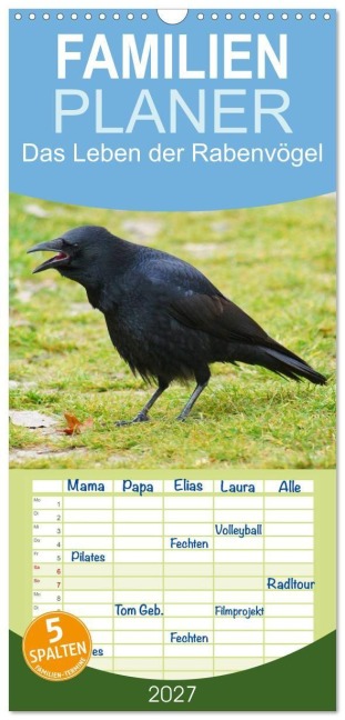 Familienplaner 2027 - Das Leben der Rabenvögel mit 5 Spalten (Wandkalender, 21 x 45 cm) CALVENDO - Kattobello Kattobello