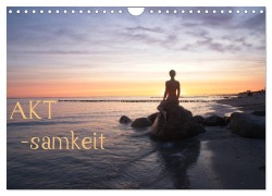 Cover-Bild zum Titel 'AKT-samkeit (Wandkalender 2026 DIN A4 quer), CALVENDO Monatskalender' von 'Nudio Nudio'