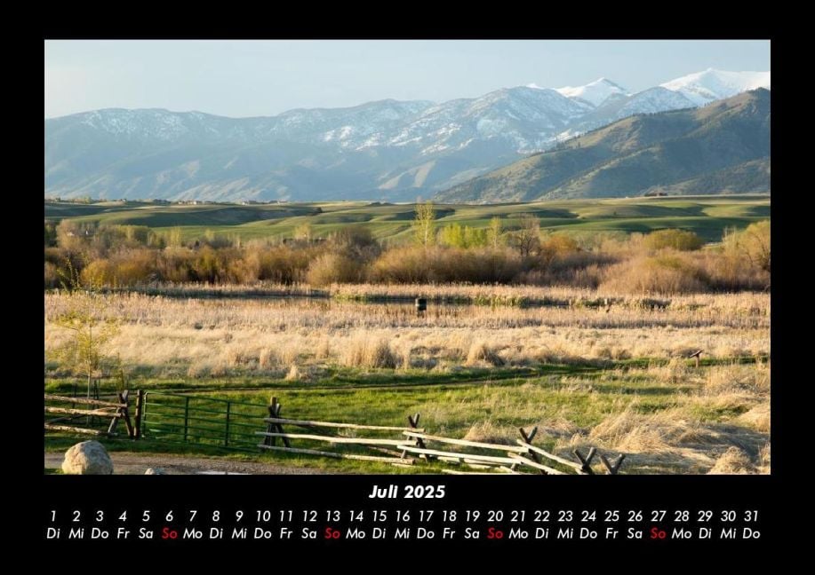 InsideView 11