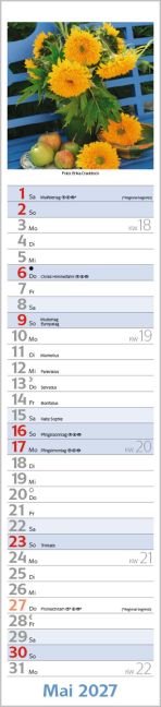 InsideView 5