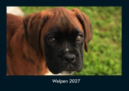 Cover-Bild zum Titel 'Welpen 2027 Fotokalender DIN A4' von 'Tobias Schmitt, Kevin Heber'