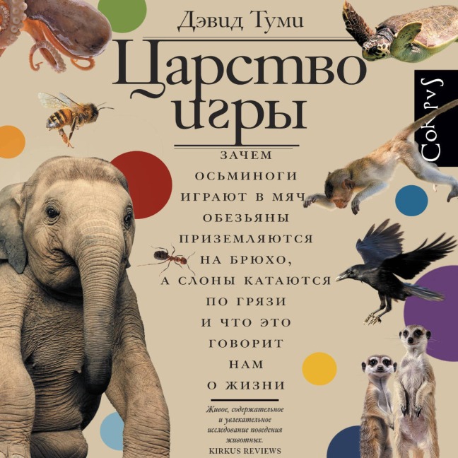 Tsarstvo igry - David Toomey