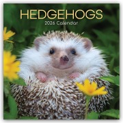 Hedgehogs - Igel 2026 - 16-Monatskalender - The Gifted