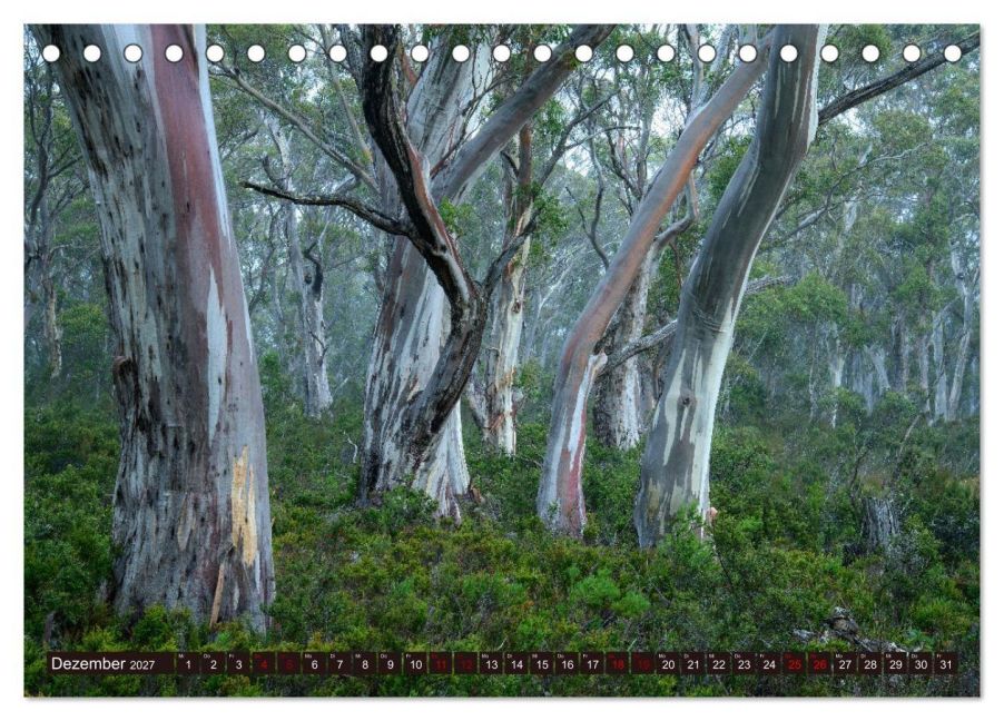 InsideView 4