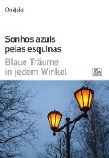 Cover-Bild zum Titel 'Sonhos Azuis Pelas Esquinas - Blaue Träume in jedem Winkel' von 'Ondjaki'