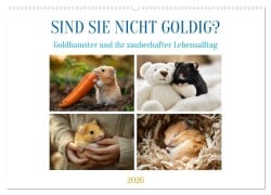 Sind sie nicht goldig? (Wandkalender 2026 DIN A2 quer), CALVENDO Monatskalender - Kerstin Waurick