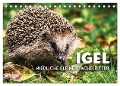 Igel - Niedliche kleine Stachelritter (Tischkalender 2024 DIN A5 quer), CALVENDO Monatskalender - Sf Sf