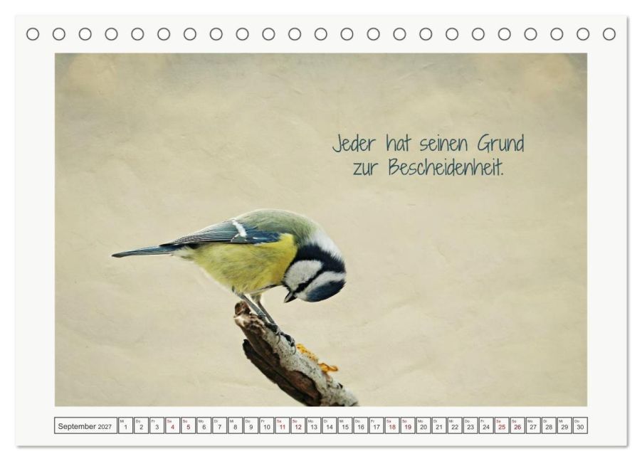 InsideView 14