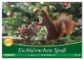 Eichhörnchen-Spaß (Wandkalender 2024 DIN A3 quer), CALVENDO Monatskalender - Heike Adam