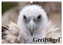 Cover-Bild zum Titel 'Greifvögel (Wandkalender 2026 DIN A3 quer), CALVENDO Monatskalender' von 'Elisabeth Stanzer'