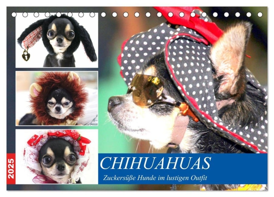 Chihuahuas. Zuckersüße Hunde im lustigen Outfit (Tischkalender 2025 DIN A5 quer), CALVENDO Monatskalender - Rose Hurley