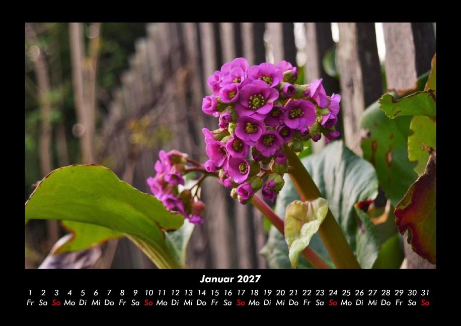 InsideView 5