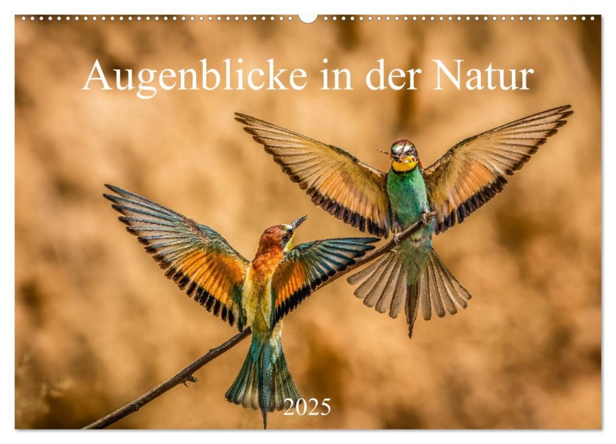 Augenblicke in der Natur (Wandkalender 2025 DIN A2 quer), CALVENDO Monatskalender - Philipp Masserer