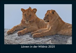 Cover-Bild zum Titel 'Löwen in der Wildnis 2025 Fotokalender DIN A5' von 'Tobias Becker'