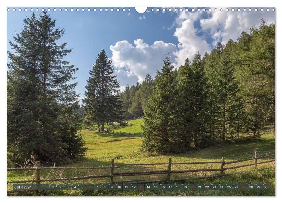 InsideView 11