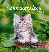Cover-Bild zum Titel 'Schmusekatzen 2027' von ''