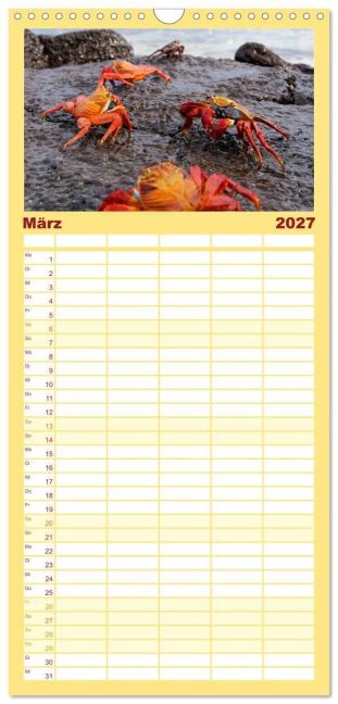 InsideView 7