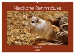 Niedliche Rennmäuse (Wandkalender 2025 DIN A2 quer), CALVENDO Monatskalender - Kattobello Kattobello