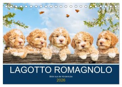 Cover-Bild zum Titel 'Lagotto Romagnolo - Bilder aus der Kinderstube (Tischkalender 2026 DIN A5 quer), CALVENDO Monatskalender' von 'Sigrid Starick'