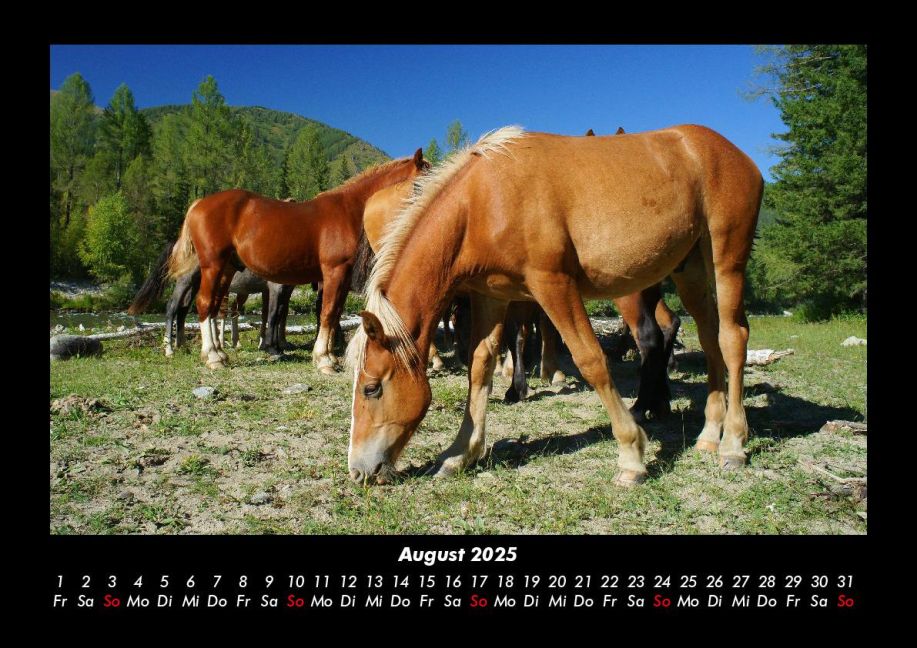 InsideView 12