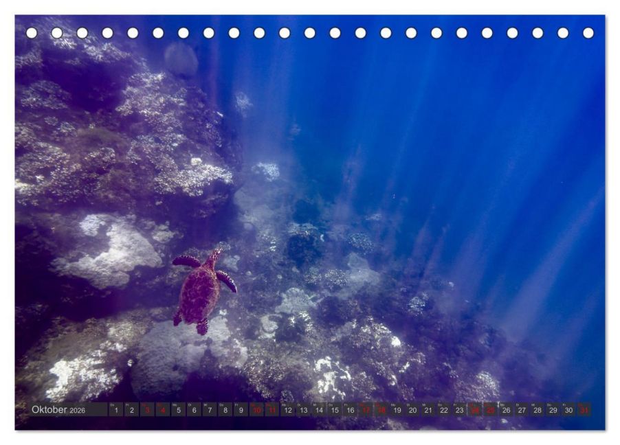 InsideView 2