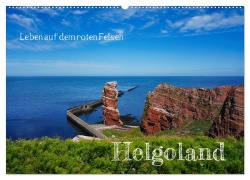 Cover-Bild zum Titel 'Leben auf dem roten Felsen Helgoland (Wandkalender 2027 DIN A2 quer), CALVENDO Monatskalender' von 'Martina Fornal'