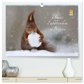 Unsere Eichhörnchen in Bayern (hochwertiger Premium Wandkalender 2025 DIN A2 quer), Kunstdruck in Hochglanz - Birgit Cerny