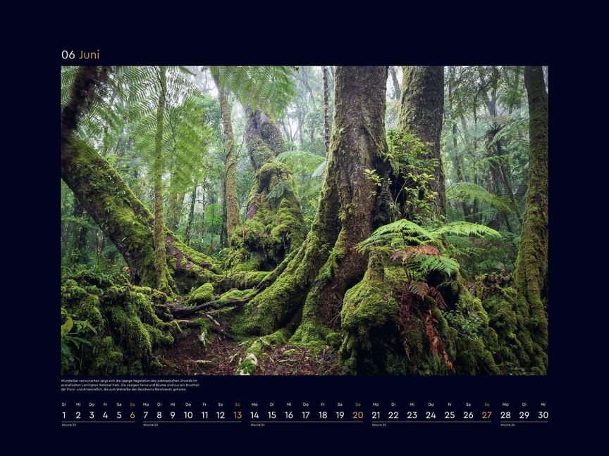 InsideView 12