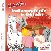 Cover-Bild zum Titel 'Indianerpferde in Gefahr' von 'Stephan Gürtler'