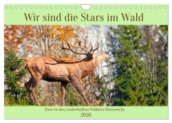 Wir sind die Stars im Wald (Wandkalender 2026 DIN A4 quer), CALVENDO Monatskalender - Christa Kramer
