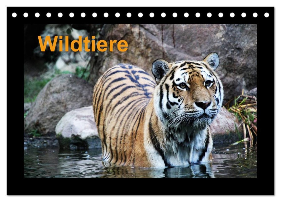 Wildtiere (Tischkalender 2026 DIN A5 quer), CALVENDO Monatskalender - Www. Cknof. de Knof