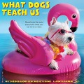What Dogs Teach Us 2025 12 X 12 Wall Calendar - Willow Creek Press