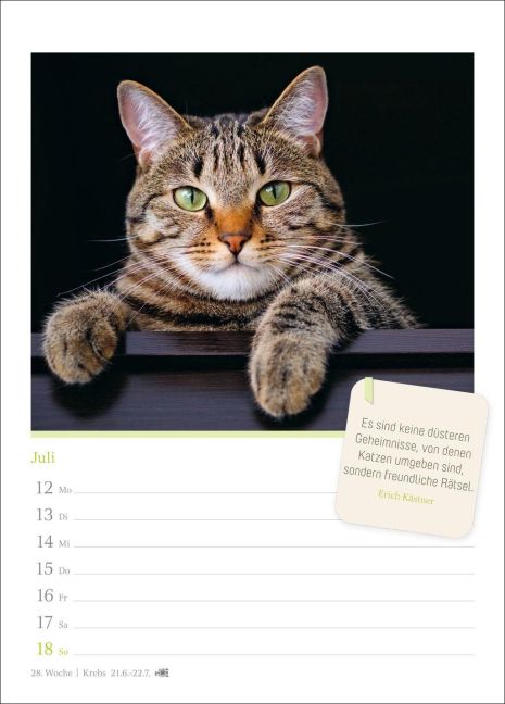 InsideView 8