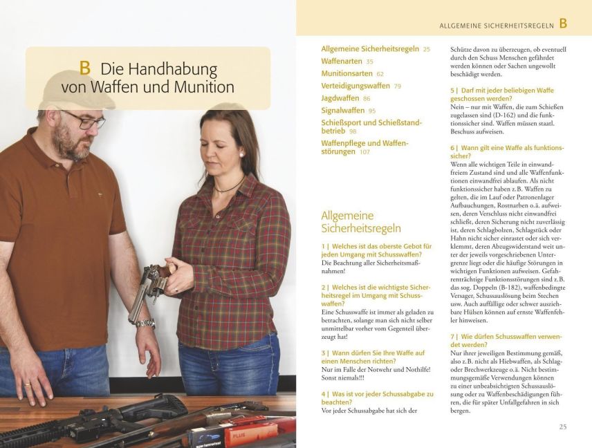 InsideView 5