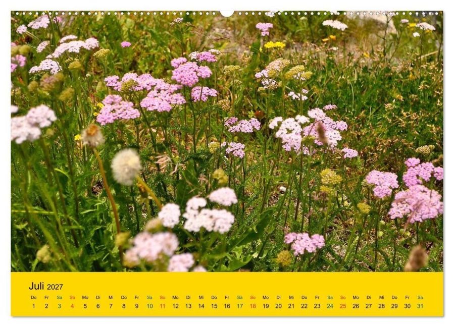 InsideView 12
