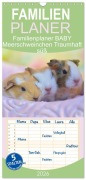 Familienplaner 2026 - Familienplaner BABY Meerschweinchen Traumhaft süß mit 5 Spalten (Wandkalender, 21 x 45 cm) CALVENDO - Sabine Hampe-Neves