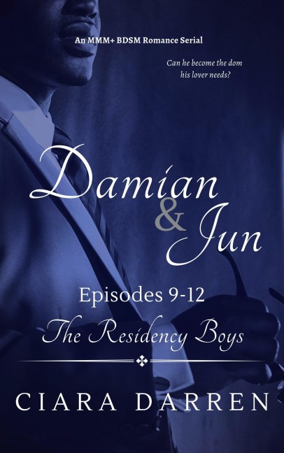 Damian & Jun Episodes 9-12 (The Residency Boys, #8) - Ciara Darren