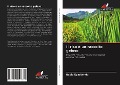 Cover-Bild zum Titel 'Il riso è un raccolto geloso' von 'David Kyaddondo'
