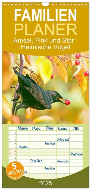 Familienplaner 2025 - Amsel, Fink und Star: Heimische Vögel mit 5 Spalten (Wandkalender, 21 x 45 cm) CALVENDO - Calvendo Calvendo