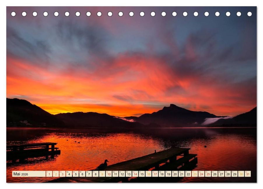 InsideView 10