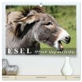 Esel - hübsch, klug und fleißig (hochwertiger Premium Wandkalender 2025 DIN A2 quer), Kunstdruck in Hochglanz - Elisabeth Stanzer