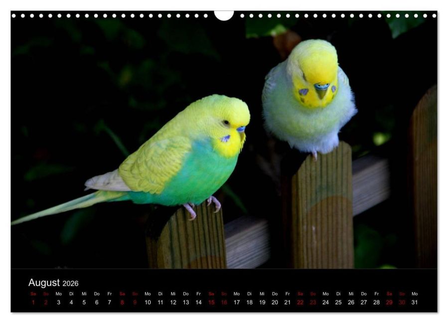 InsideView 13