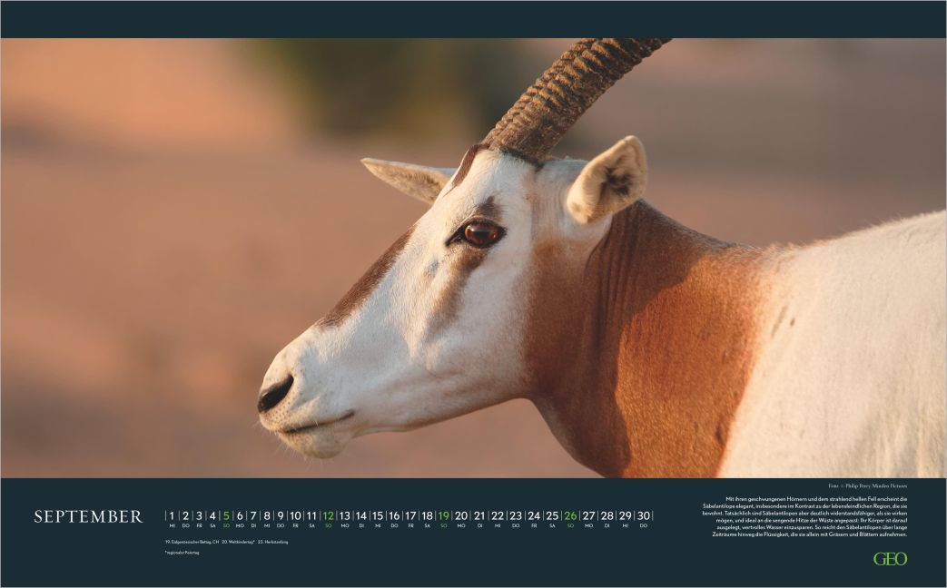 InsideView 5