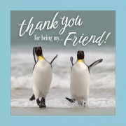 Cover-Bild zum Titel 'Thank You for Being My Friend!' von 'Grace Peterson'
