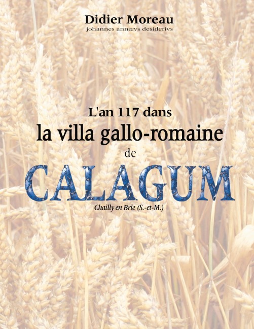 L'an 117 dans la villa gallo-romaine de Calagum - Didier Moreau