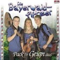 Pack Die Geign Aus - Die Bayerwaldflitzer