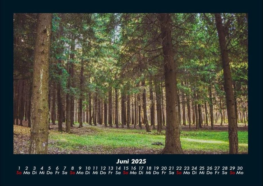 InsideView 10